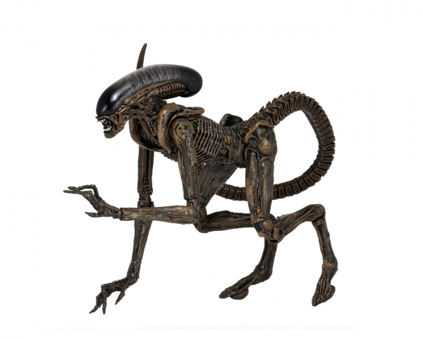 Ultimate Dog Alien