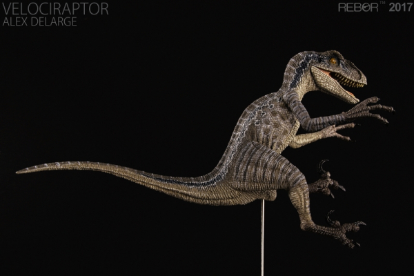 Velociraptor