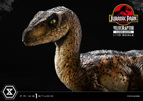 Velociraptor (Closed Mouth) Statue 1/10 Prime Collectibles, Jurassic Park, 19 cm