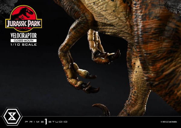 Velociraptor (Closed Mouth) Statue 1/10 Prime Collectibles, Jurassic Park, 19 cm