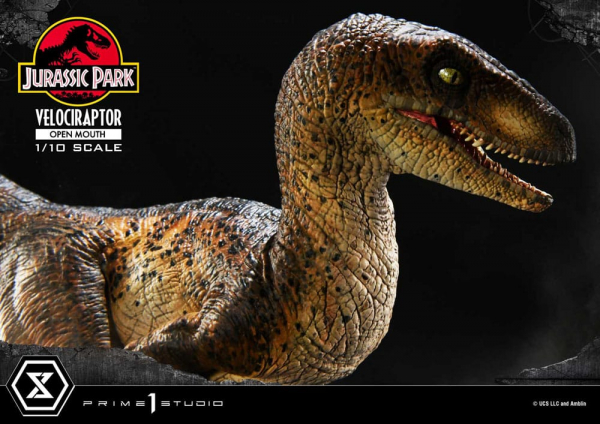 Velociraptor (Open Mouth) Statue 1/10 Prime Collectibles, Jurassic Park, 19 cm