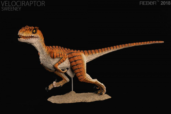 Velociraptor