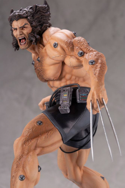 Weapon X Fine Art