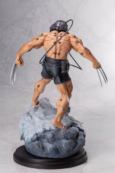 Weapon X Fine Art