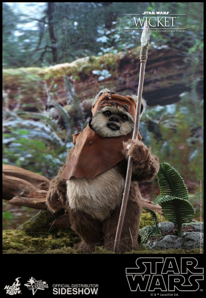 Wicket