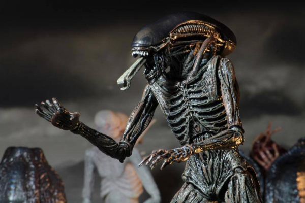 Alien Covenant Xenomorph