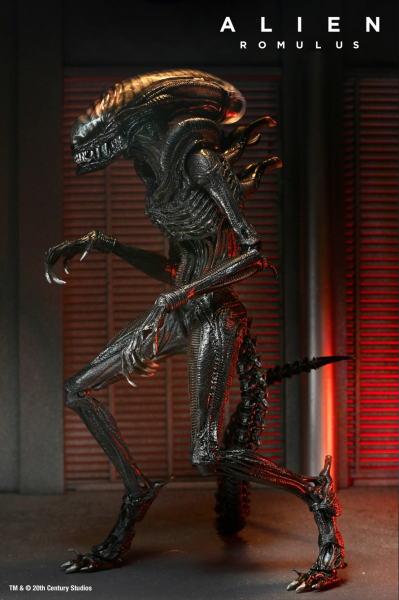 Ultimate Scorched Xenomorph Actionfigur, Alien: Romulus, 23 cm