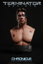 Battle Damaged T-800 Bust