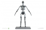 Endoskeleton Mark I