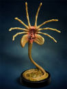 Facehugger Replica 1/1