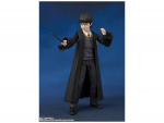 Harry Potter SHF