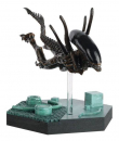 Swimming Xenomorph Statue